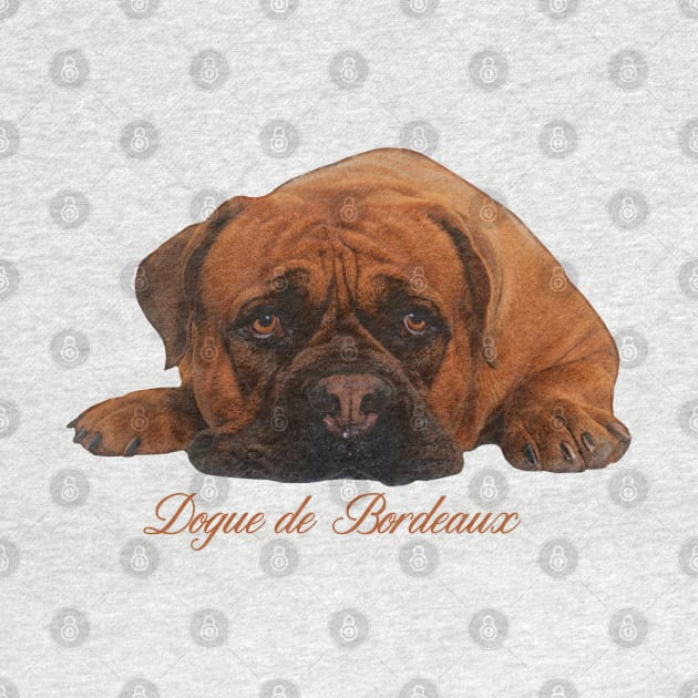 Dogue de Bordeaux by Nartissima